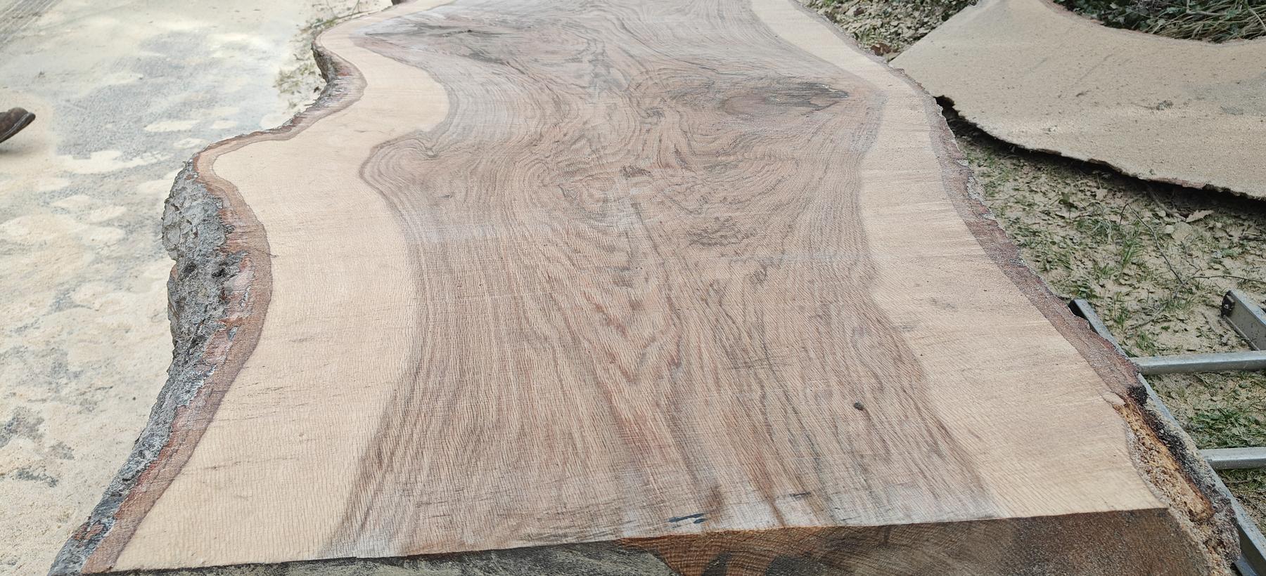 A freshly opened oak slab showing its grain for the first time