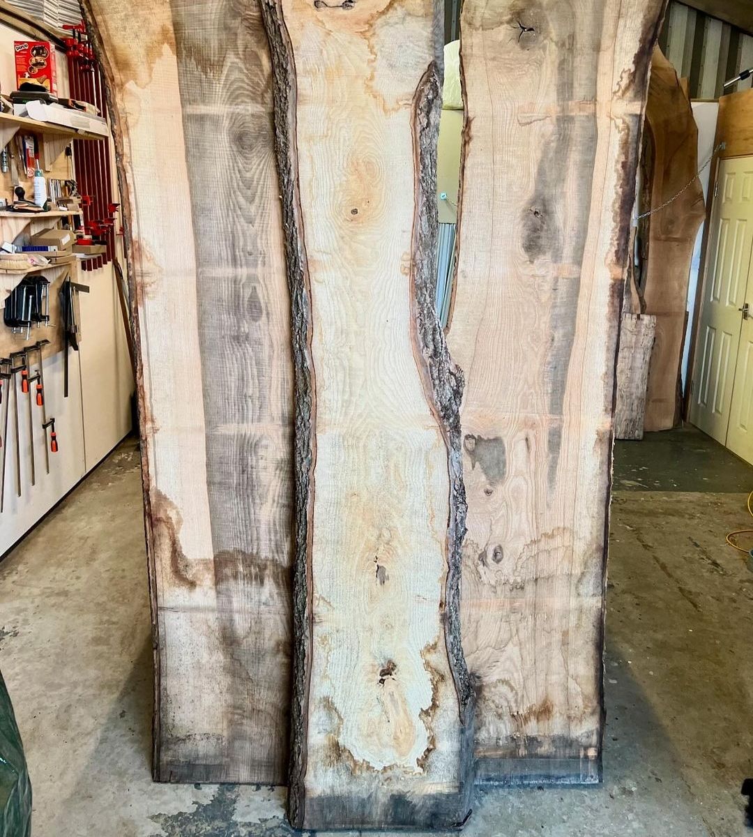 Three live-edge ash slabs standing in a workshop