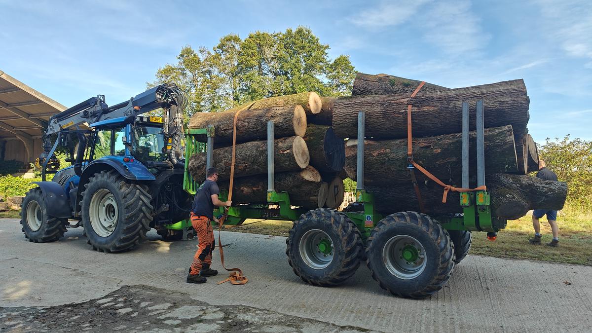 Logs strapped onto a timber trailer