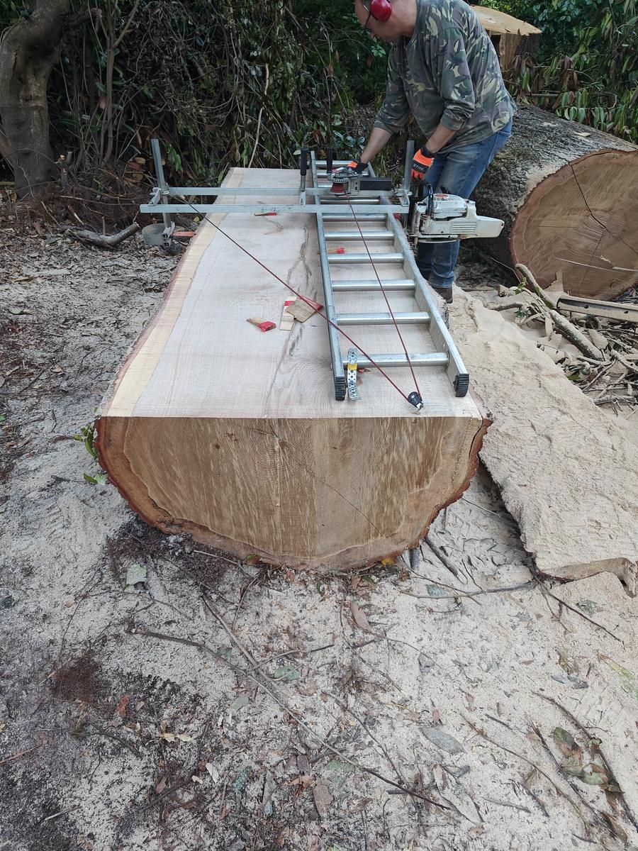 Chainsaw milling a Turkey oak at Mylor